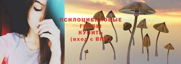 МДПВ Нефтекумск