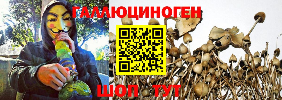 Мурманск  Галлюциногенные грибы мицелий  где купить наркоту  Вход с VPN 