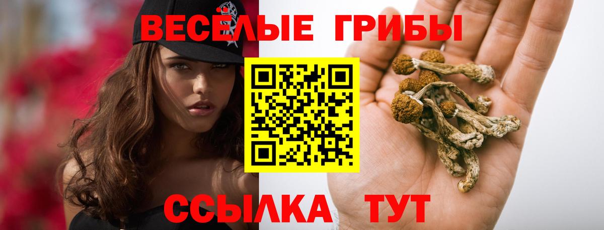 Псилоцибиновые грибы ЛСД Мурманск